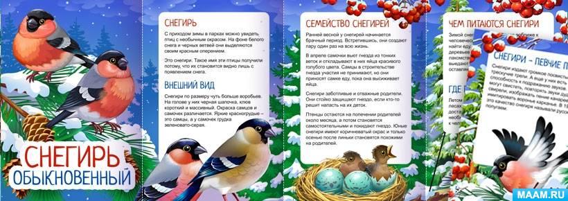 9 января отмечаем День снегиря! 9 января отмечаем День снегиря!.