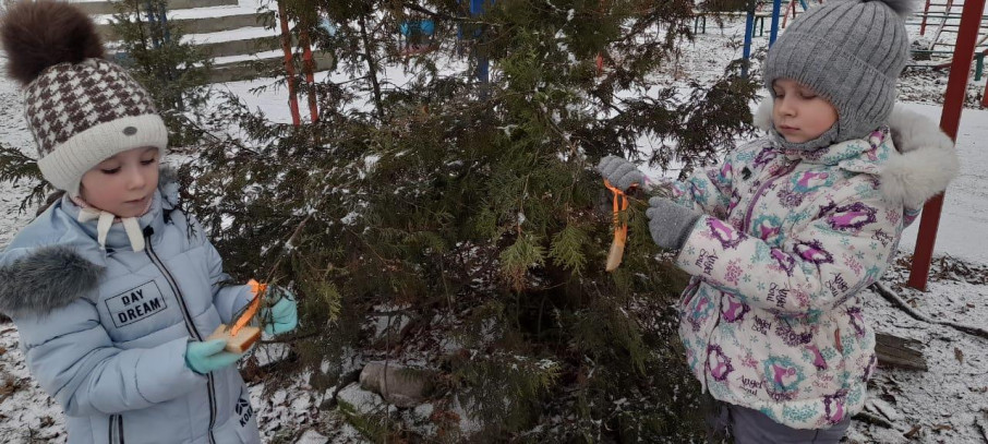 Сегодня, 15 января, в нашей стране отмечается добрый экологический праздник – День зимующих птиц Сегодня, 15 января, в нашей стране отмечается добрый экологический праздник – День зимующих птиц.